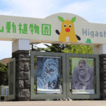 伝説の「東山ドライブコース」デビュー！その1